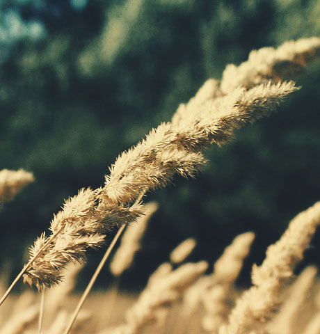 在线短信轰炸机网页版