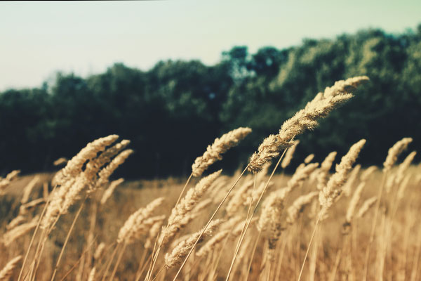 短信轰炸业务网